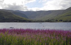 Loch Linnhe Wallpaper