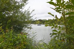 Mote Park, Maidstone Wallpaper