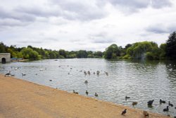 Mote Park, Maidstone Wallpaper