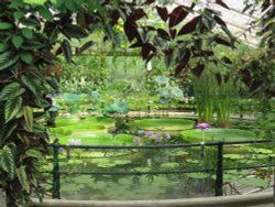 Kew Gardens Wallpaper