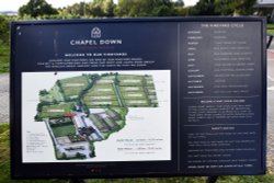 Chapel Down Winery Wallpaper