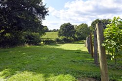 Chapel Down Winery Wallpaper