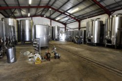 Chapel Down Winery Wallpaper