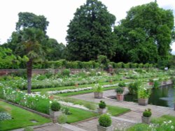 The White Garden, Kensington Palace in memory of Princess Diana Wallpaper