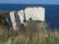 A view of Old Harry Rocks in Purbeck, Dorset Wallpaper