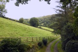 Wern Tanglas Farm at Newcastle on Clun Wallpaper