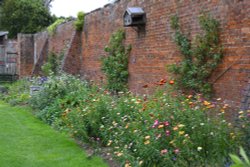 Berrington House walled garden Wallpaper