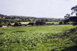 Shropshire Hills near Onibury Wallpaper