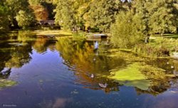 Blandford Forum Dorset Wallpaper