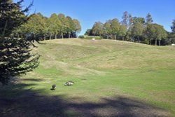 Claremont Landscape Garden Wallpaper