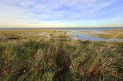 River Swale near Iwade Wallpaper