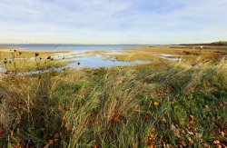 River Swale near Iwade Wallpaper