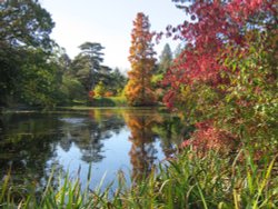 Kew Gardens Wallpaper