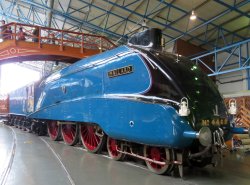 the Mallard Wallpaper