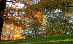 eastcote house gardens Wallpaper