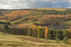 Errwood Reservoir in The Peak District above Buxton, Derbyshire Wallpaper