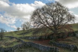 Upper Lathkill Dale near Monyash, Derbyshire Wallpaper