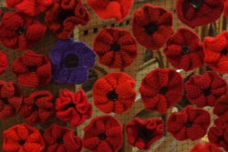 Knitted Remembrance Poppies in the Church, Monyash, Derbyshire