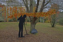 Sheffield Park Wallpaper