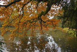 Sheffield Park Wallpaper