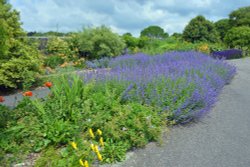National Botanical Garden of Wales Wallpaper