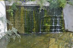 National Botanical Garden of Wales Wallpaper