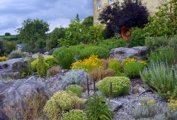 National Botanical Garden of Wales Wallpaper