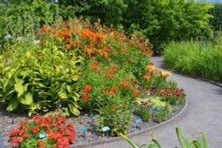 National Botanical Garden of Wales Wallpaper
