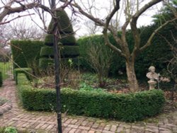 Pathway to Spring, gardens in Durham City.
