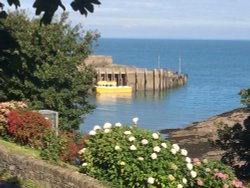 ILFRACOMBE Wallpaper