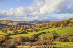 Road to Beeley Wallpaper