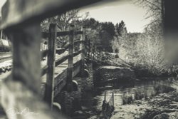 Tilford Bridge Wallpaper