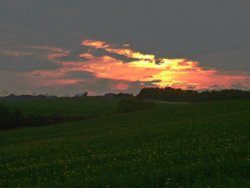 Hobson Golf Club Wallpaper