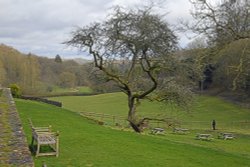 The view from Chedworth Roman Villa Wallpaper