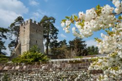 The walled garden at Greys Court