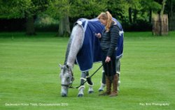 Badminton Horse Trials, Gloucestershire 2019 Wallpaper