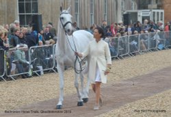 Badminton Horse Trials, Gloucestershire 2019 Wallpaper