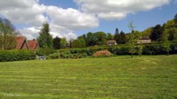 North Dorset Trailway Wallpaper