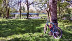 North Dorset Trailway Wallpaper