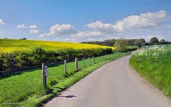 North Dorset Trailway Wallpaper