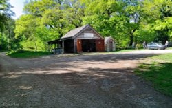 North Dorset Trailway Wallpaper