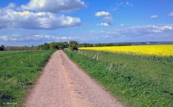 North Dorset Trailway Wallpaper