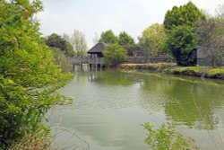 Wingham Wildlife Park Wallpaper