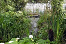 Wingham Wildlife Park Wallpaper