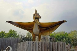 Wingham Wildlife Park Dinosaur Area Wallpaper