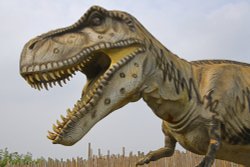 Wingham Wildlife Park Dinosaur Area Wallpaper