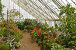 Felbrigg Hall Gardens Wallpaper