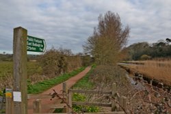 Where now? Wallpaper