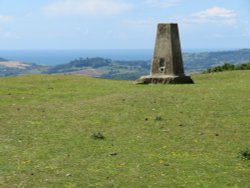 Trig point on highest point in Dorset (277m), Pilsdon Pen near Pilsdon