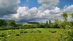 North Dorset Trailway Wallpaper